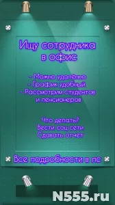 Ассистент руководителя: Для студентов и пенсионеров